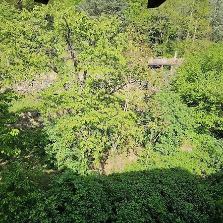 Appartement Malleval Chez Jeanne Exterior foto